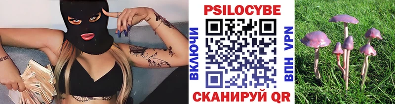 Псилоцибиновые грибы мухоморы  Туапсе 