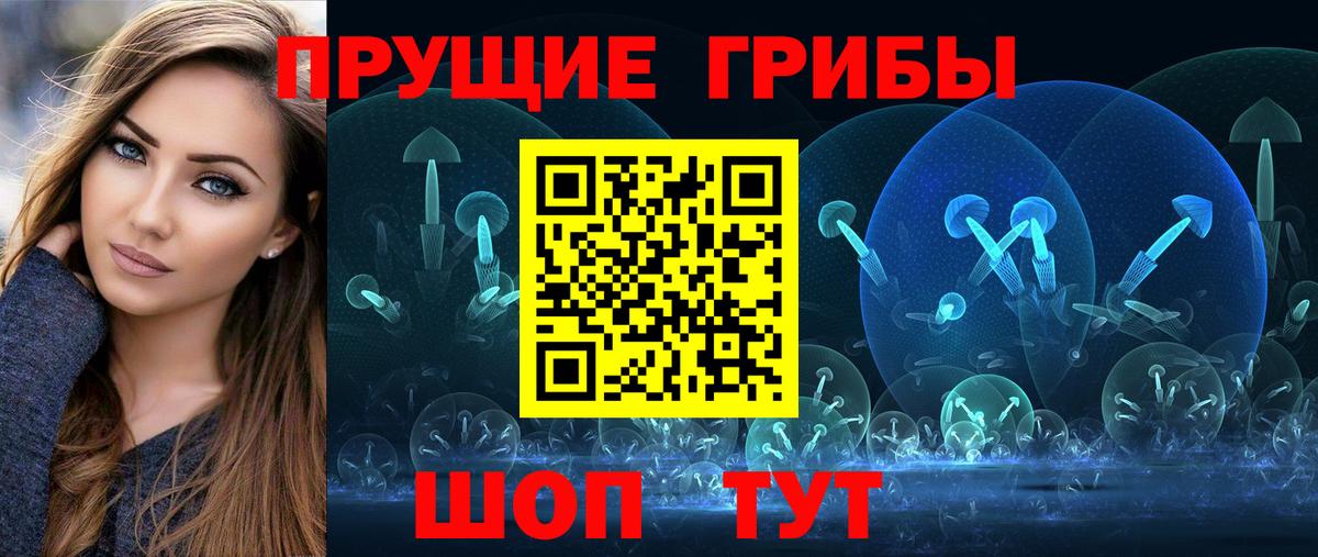Туапсе  Псилоцибиновые грибы Psilocybine cubensis  Вход с VPN 