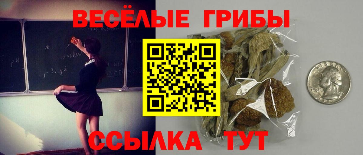 Галлюциногенные грибы мухоморы Туапсе